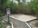 Aguirre Forest - GUAYAMA